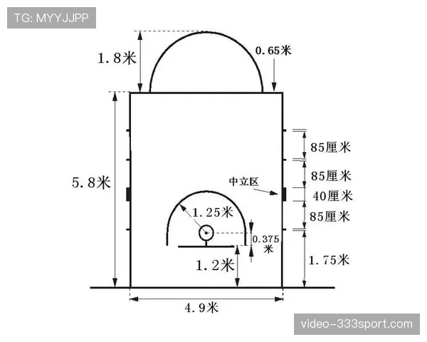 NBA和FIBA规则区别全面解析，如何适应两种篮球体系