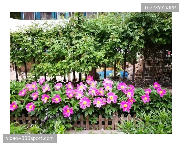 杜丽家里那小花园都比我房子大，她打完球还能亲自下厨？真的假的？！